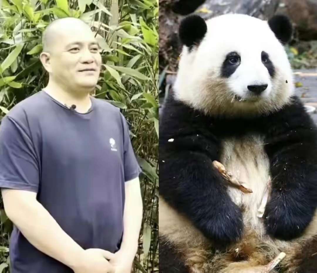 传说中的“谭棉花”组合，网友笑称：花花波澜不惊的性格，原来是随谭爷爷！[笑cry