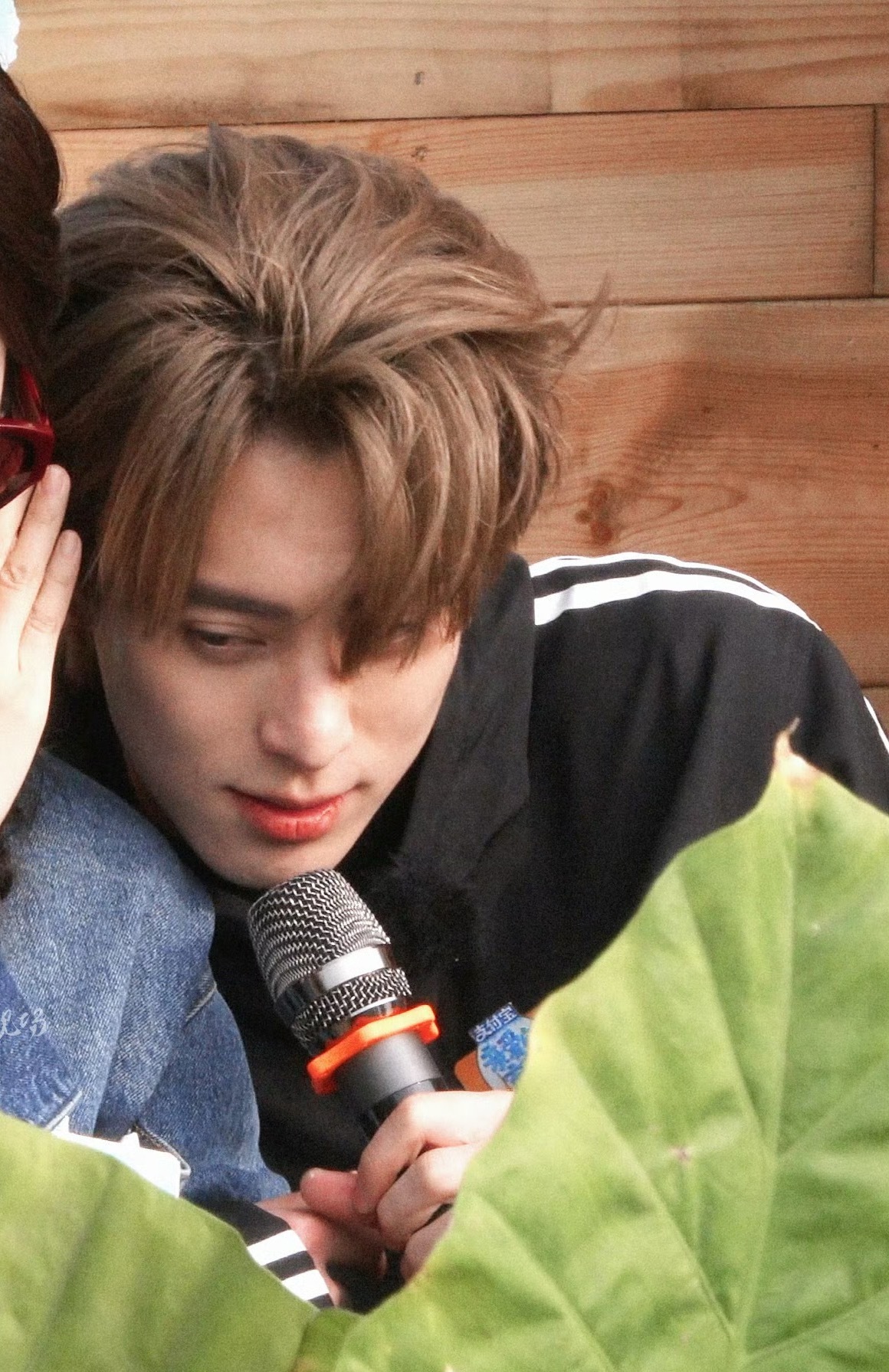 这表情不就是“好凉” 