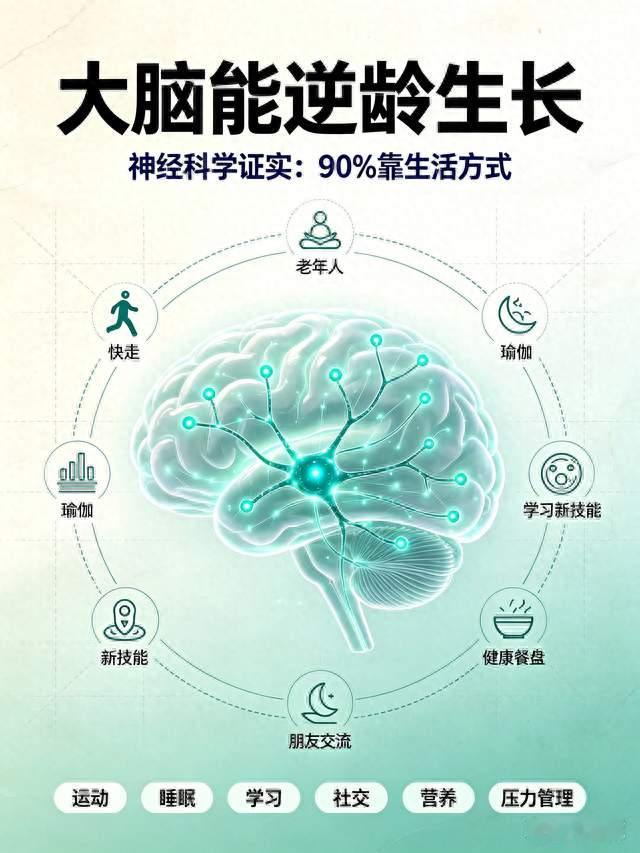 神经科学证实：大脑能逆龄生长，90%靠生活方式