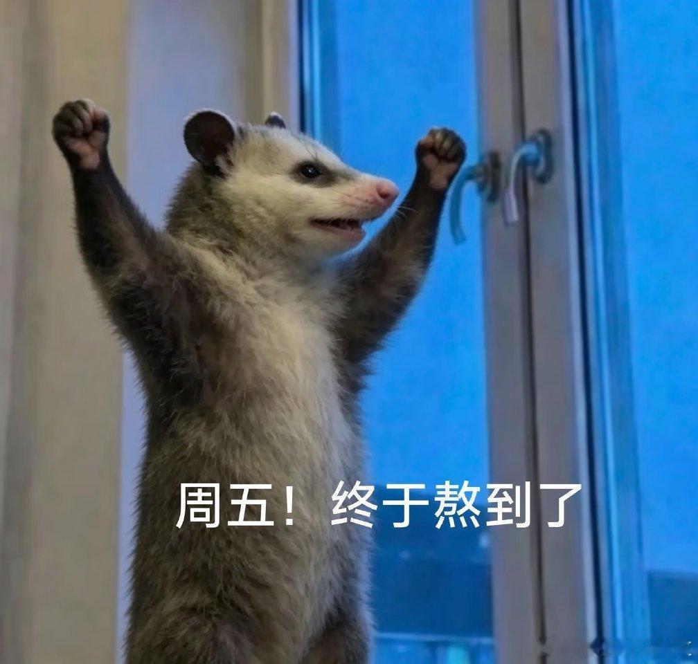 早。。。。