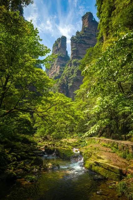此外，张家界文化底蕴深厚，是湘鄂渝黔革命根据地的发源地，拥有土家族、苗族等少数民