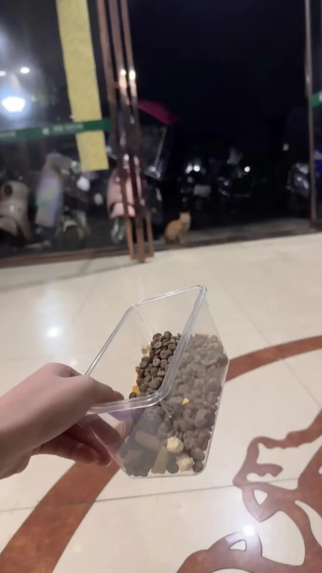 橘桑为什么吃了我的军响不跟我回家