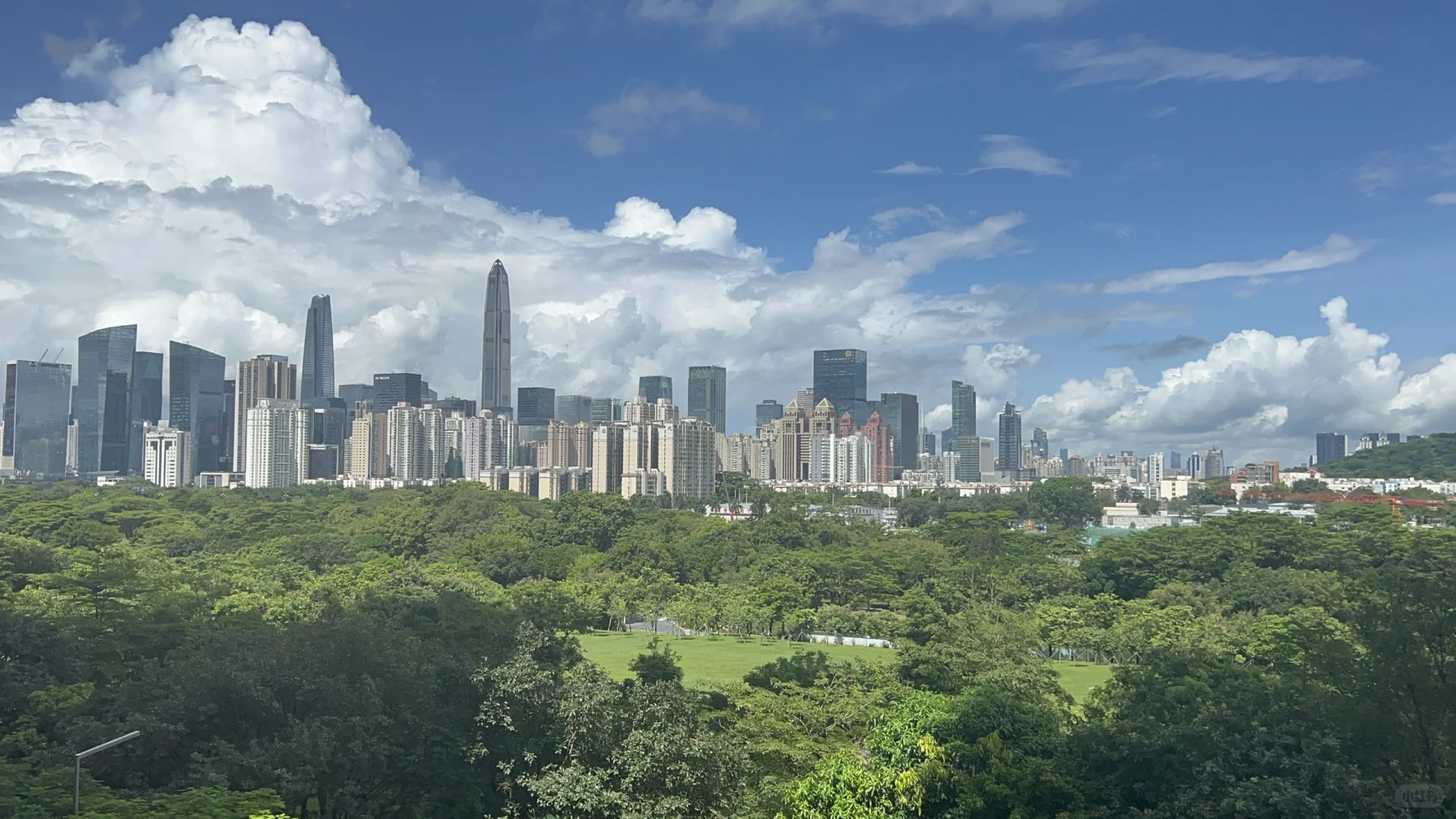 这个视野爱了，深圳中心公园景观