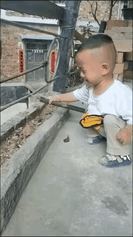 三岁看老，将来必定一根筋，鉴定完毕！