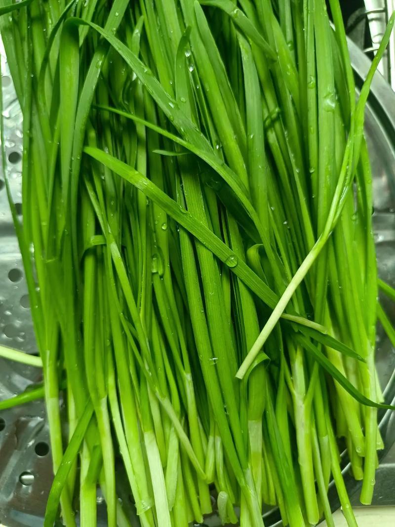 提前过年了吗？
这刚刚入冬，
青菜的价格不是一路飙升，
而是直上云天！
前几天还