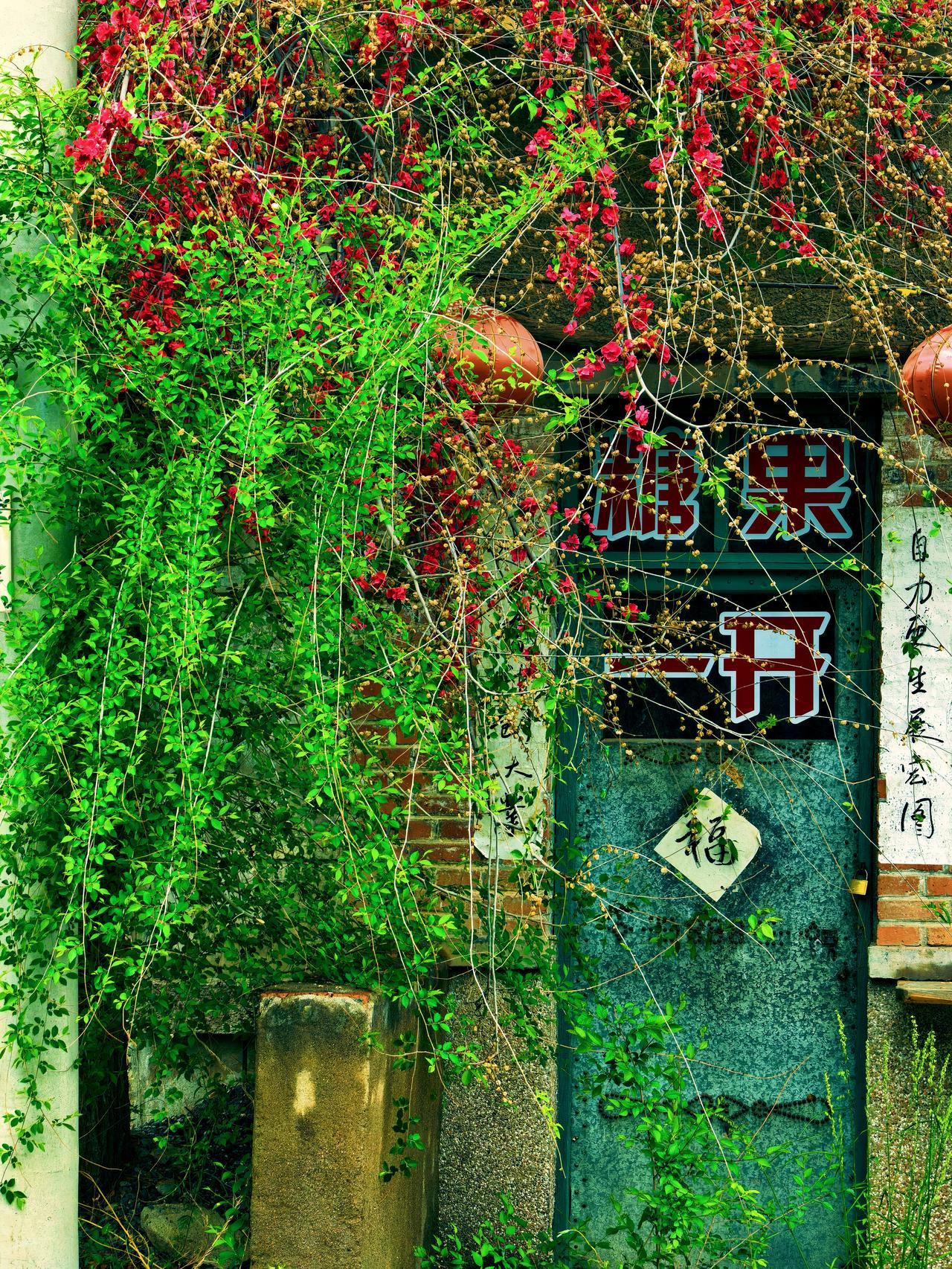 春风满面
