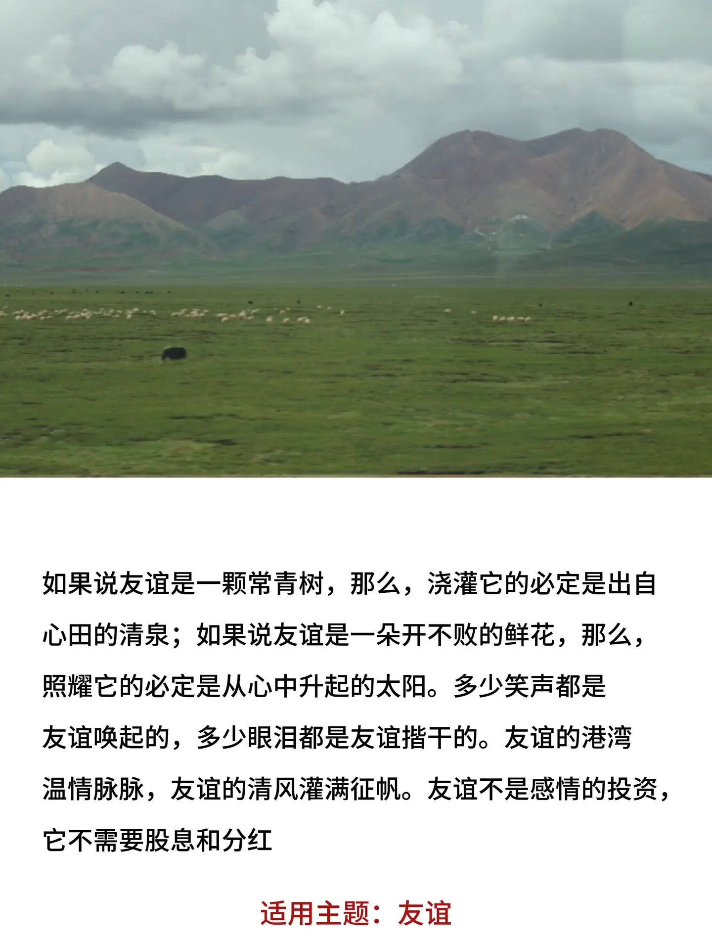 百用不腻的万能作文素材