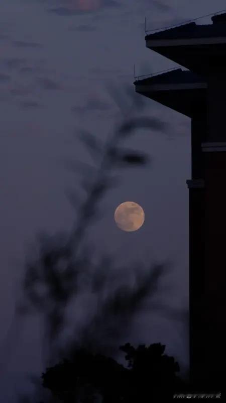 看到“风来草木摇”求上联，我琢磨了一下。结合参考里的对联，我觉得“雨至山川动”能