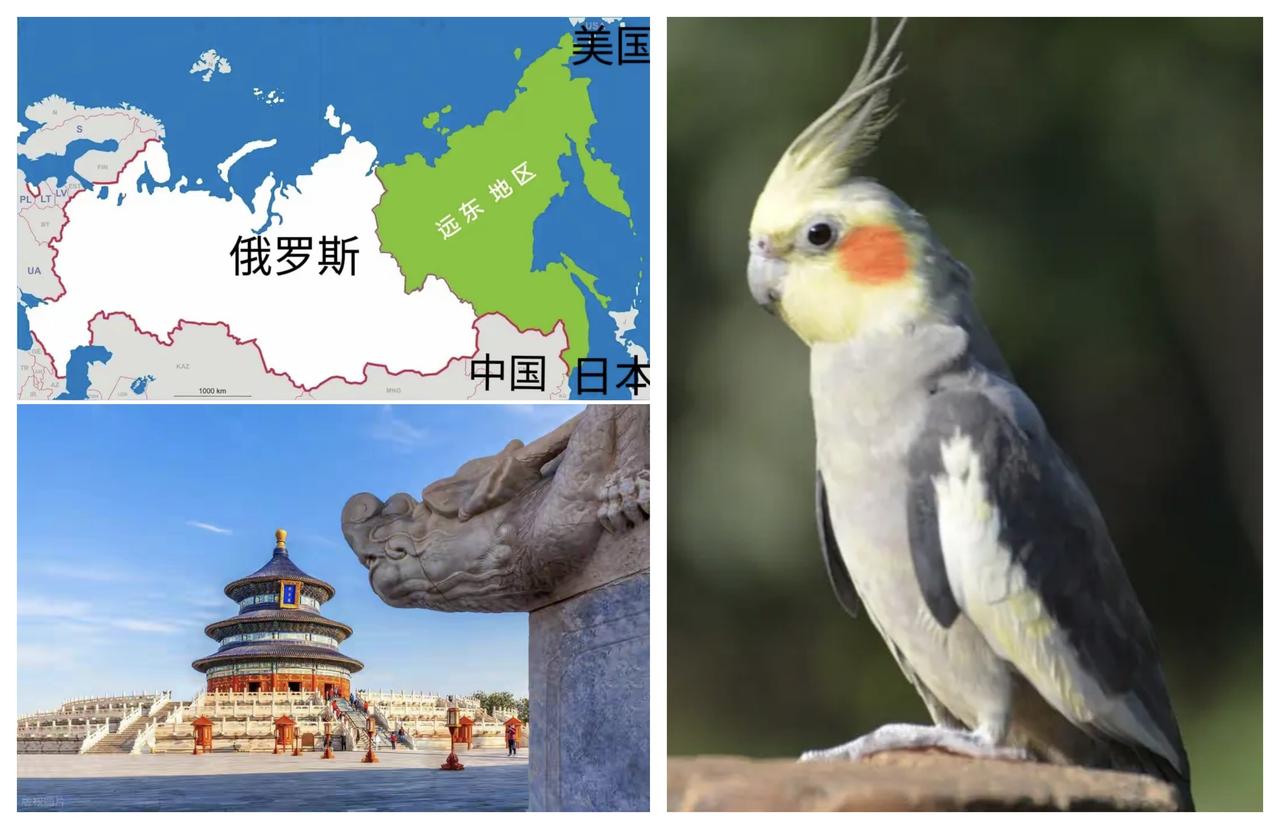 ✨俄罗斯应该把远东还给吾们✨

☯ 对于俄罗斯来说，远东地区是其沉重的历史和现实