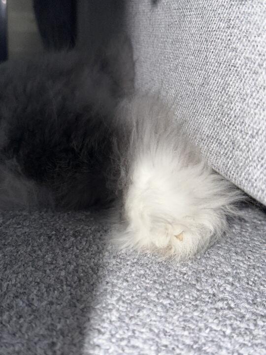 谁敢闻
