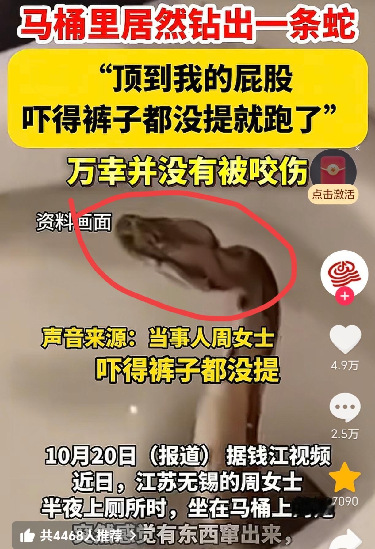 马桶里居然钻出一条蛇
"顶到我的屁股
这不是电视剧里的情节，这竟然是江苏一个周女