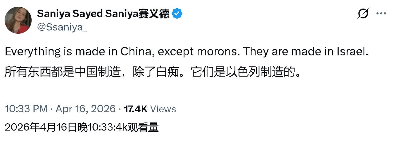 这个中东妹纸：所有东西都是中国制造，除了白痴。它们是以色列制造的。