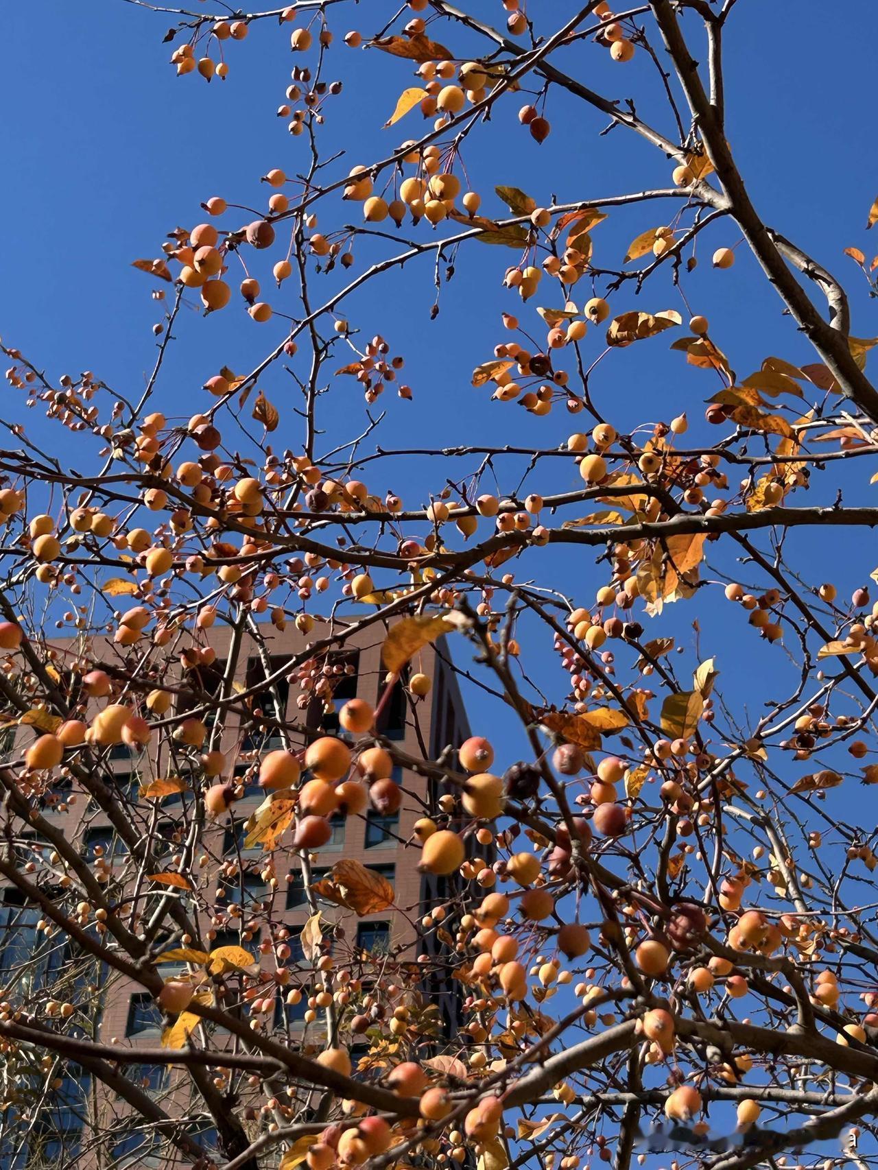 快乐就是要放松心情，无论你处境多么糟糕，都要接受自己，放下心来过好每一天。

公