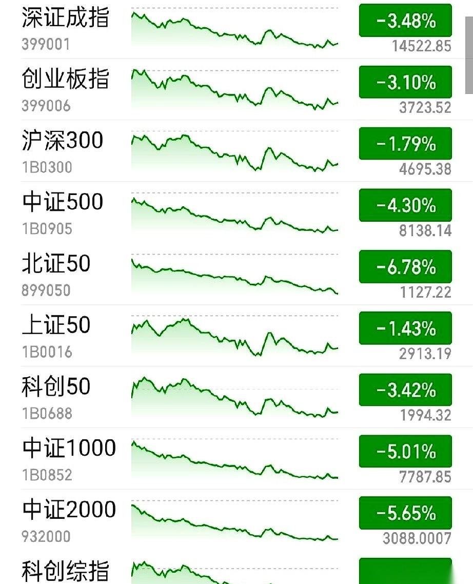全在喊反弹，都说大奇迹日要来了。
可我一低头，看着盘面，手心有点冒汗。除了科创和