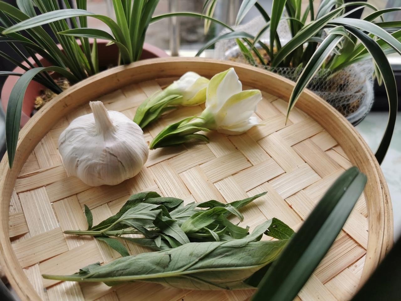 昨天端午忘了摘两朵石榴花。
​蒜、艾草、石榴花用线串成小胸花别在小孩衣服上就是端