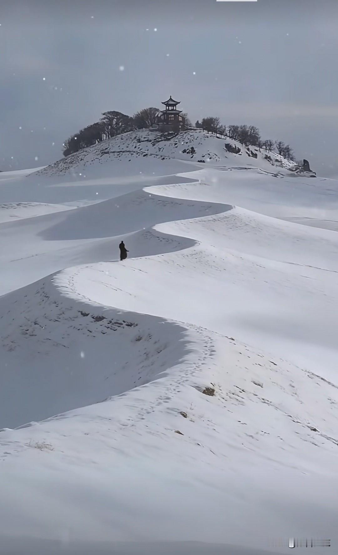 一个冬天，
都在等一场雪
等一个很久没联系的人
我在寒风里，
用枯草织手环、戒指