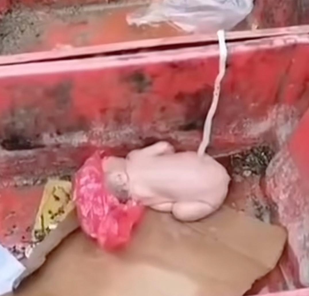 快过年了，刚出生的婴儿被抛弃丢进垃圾桶，父母如何狠毒，良心和忍……