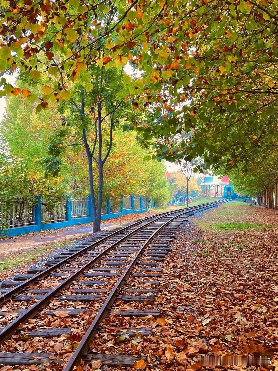 一切事都是好事
所有人都是好人
这句话的含金量越来越高了

无论发生什么都是两面