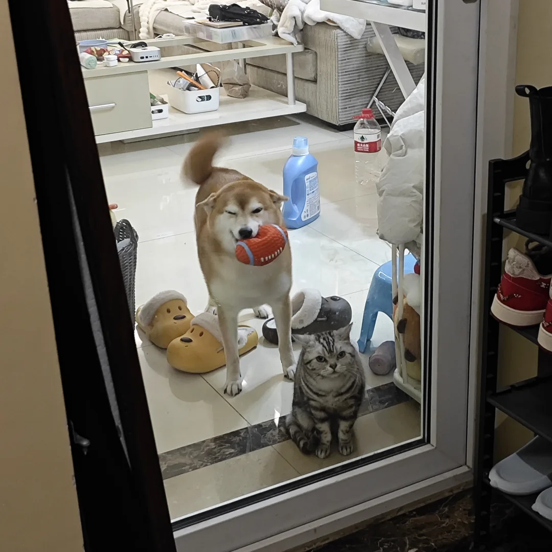 回家看到这一幕，谁懂