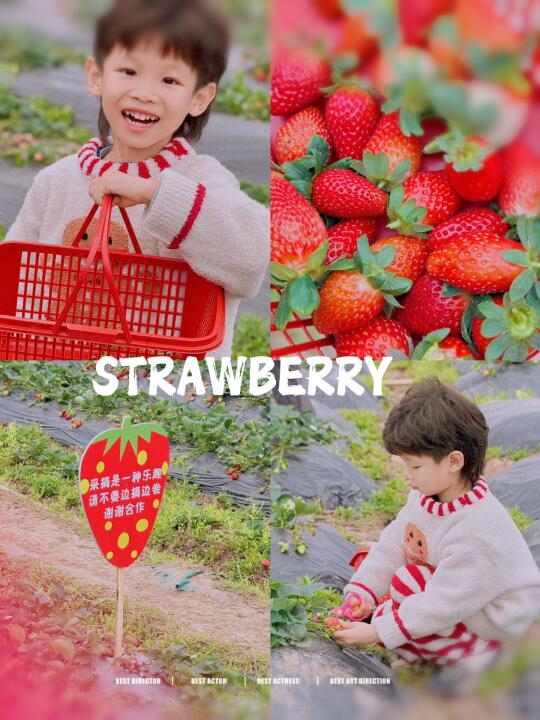 春日甜蜜约定 | 和孩子一起解锁草莓味童年