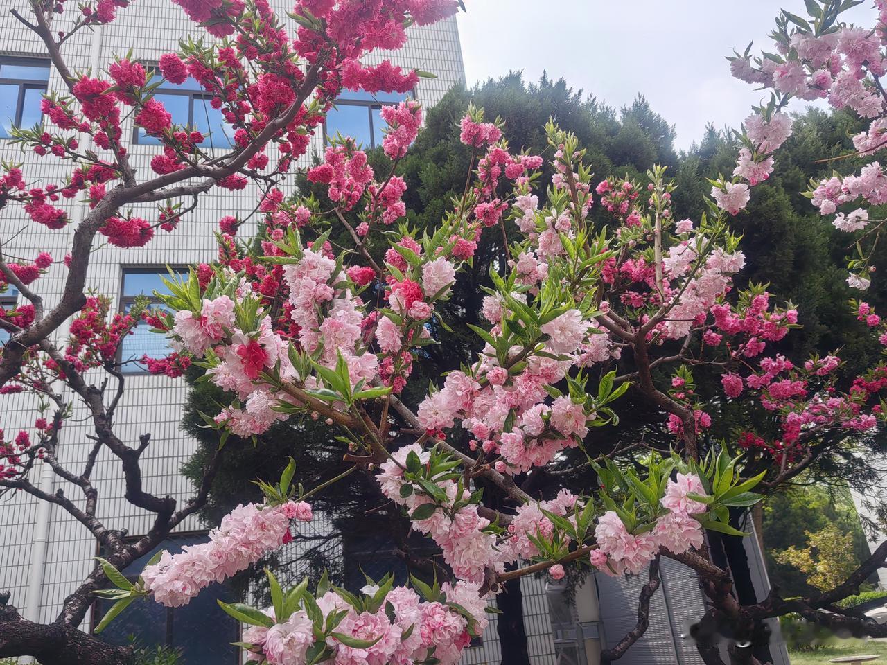 对我好的人，我学会了感恩，对我不好的人，我学会了远离，看人不要用眼睛去看，容易看