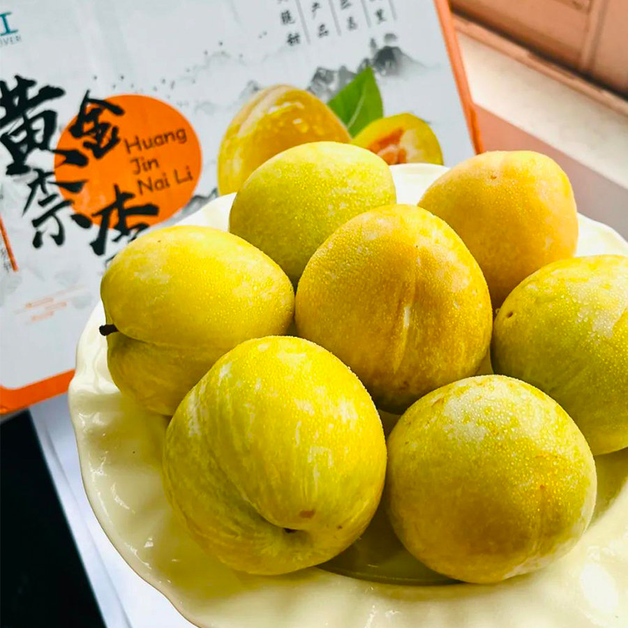 这个好物闭眼入﻿ 广东国家地标 黄金奈李 清润甘甜 多汁开胃 李界巨无霸 热度爆