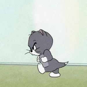 上岸放烟花