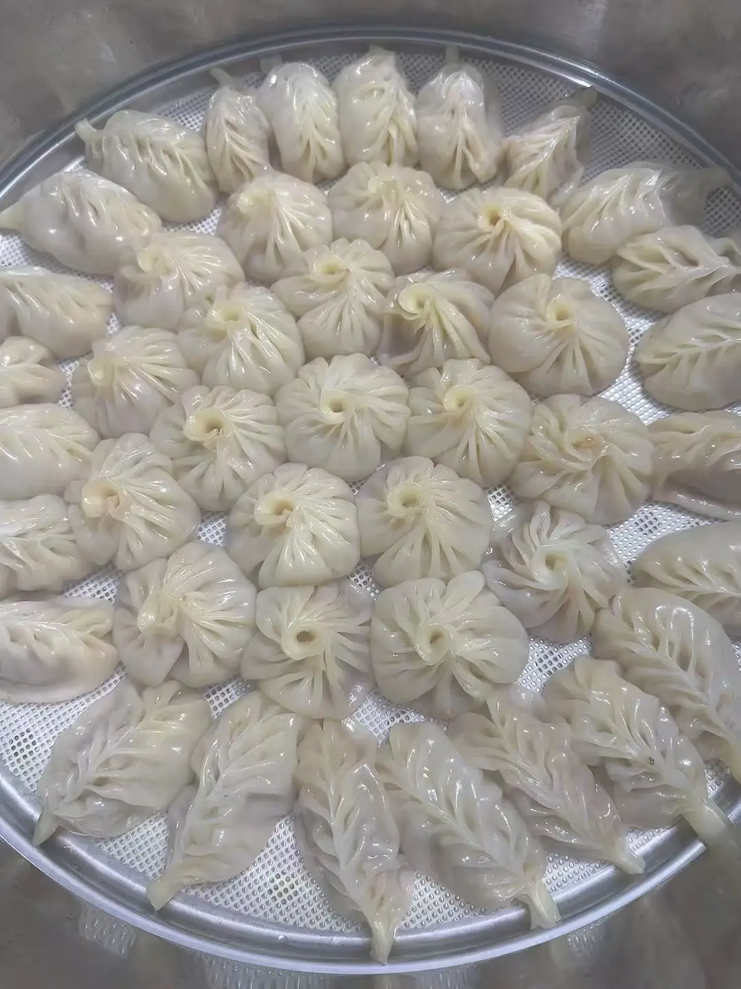今日份包的饺子🥟🥟😋