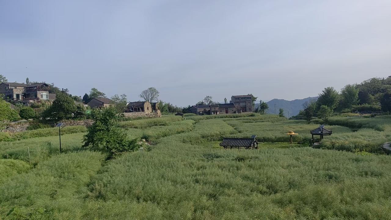 今日运势：丙午年壬辰月辛未日 2026.4.27日

鼠：做事要守规矩
牛：避免