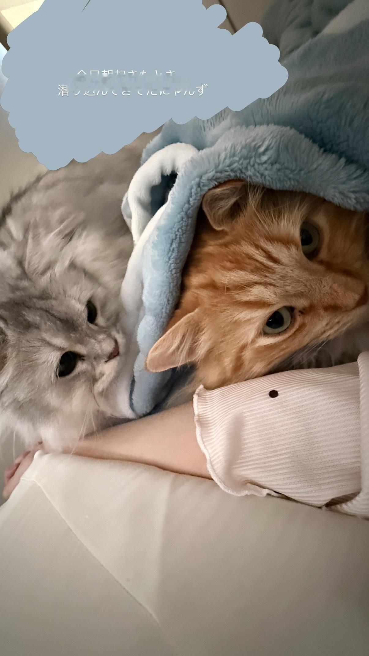 岩本蓮加　れんかぐらむ