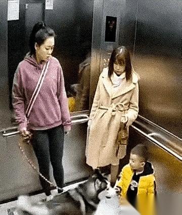 电梯门刚合上，那条半人高的大狗，就猛地朝我儿子扑了过来。
我脑子嗡的一下，想都没