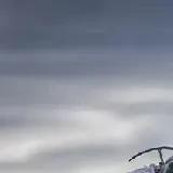 这样子不是呆萌，他可是速度怪兽！