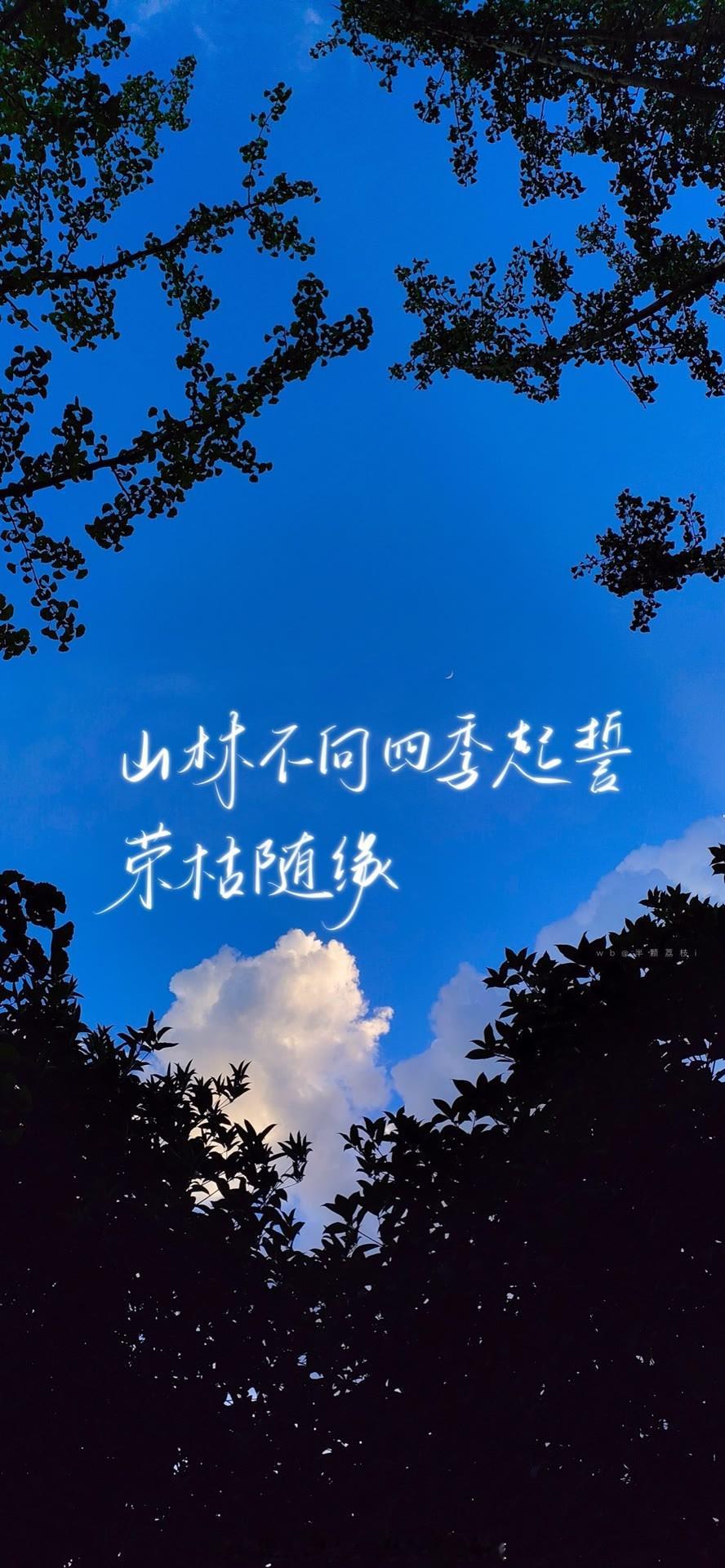 蓝色 壁纸 | 无解的题怎会有答案 