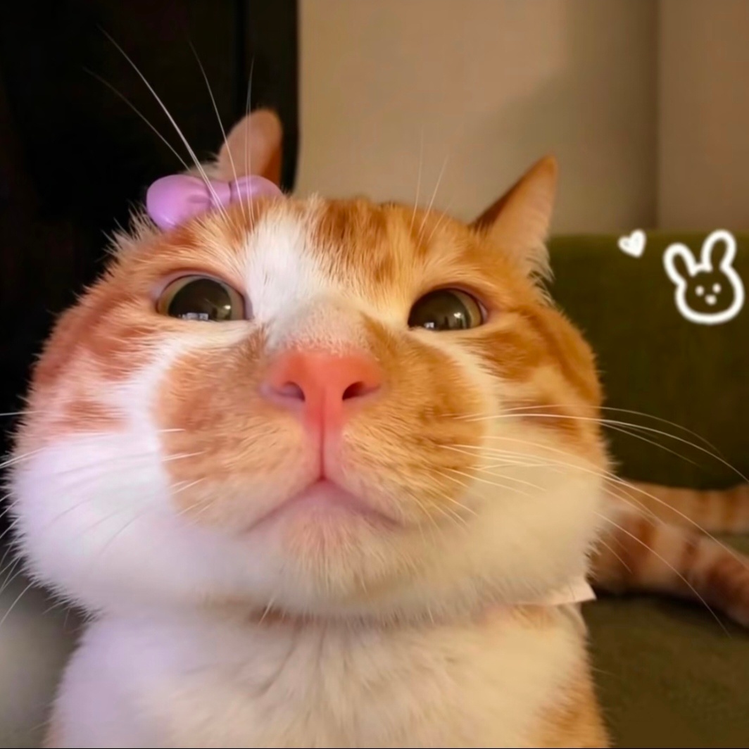 最近爱用的萌萌猫猫情头(๑'ᴗ'๑)･+* 