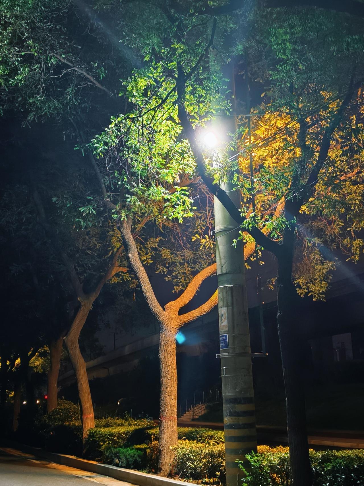 “让花是花，让树是树’让一切顺其自然