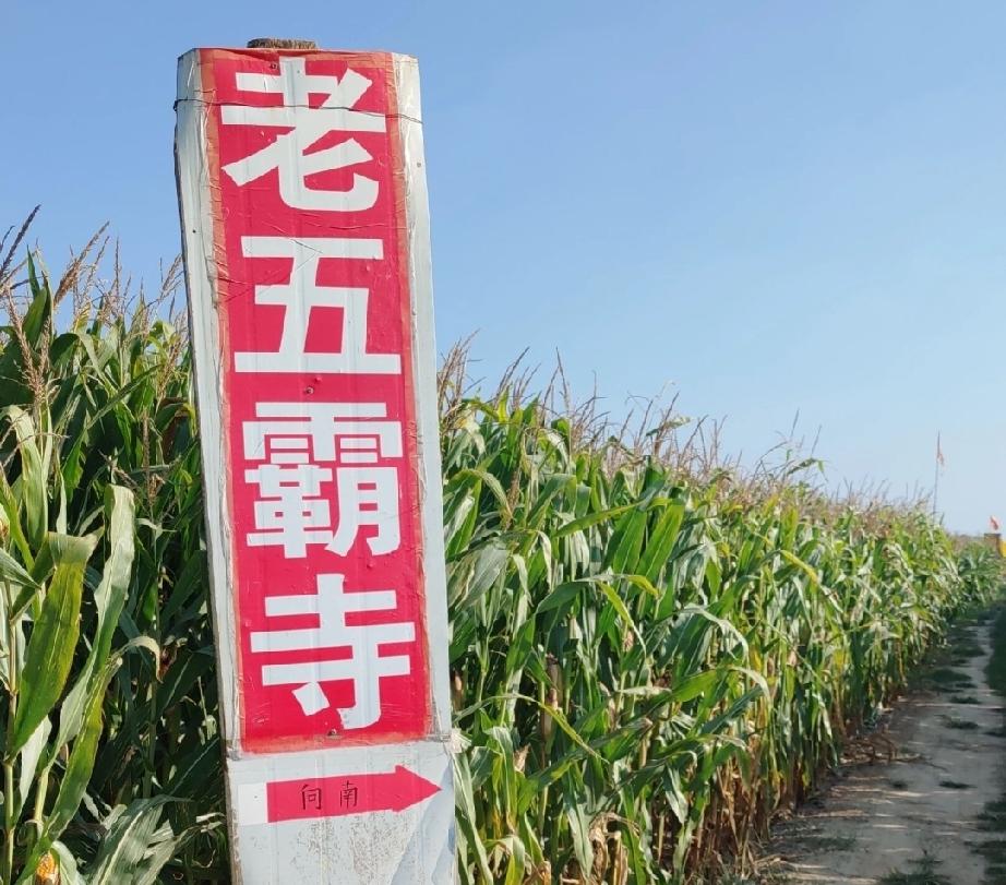 东明五霸寺遗

五霸寺遗址位于山东省菏泽市东明县陆圈镇五霸岗村，相传为公元前65