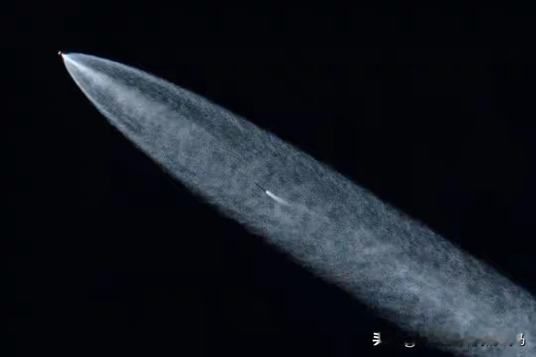 据路透社12月19日报道，美国太空探索技术公司（SpaceX）旗下“星链”计划表