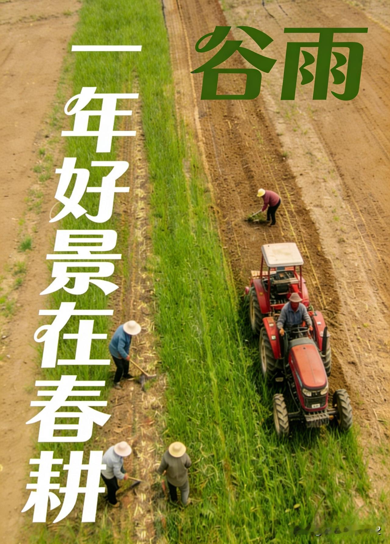 《谷雨》
谷雨轻推初夏门
芳草新绿正逢春
田家整地忙农事
抢抓时令为年丰
乐俗谷