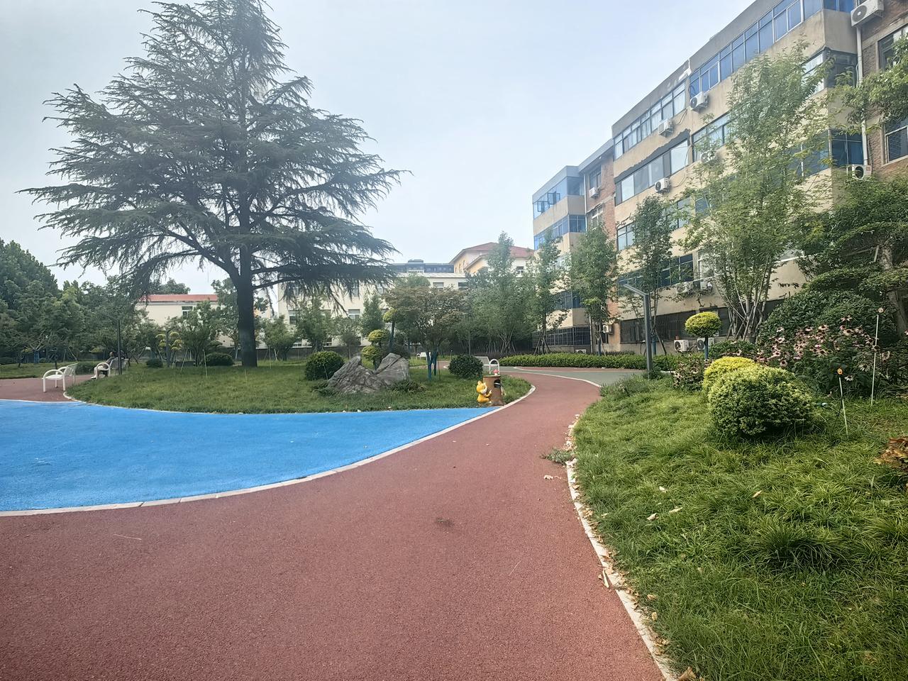 洛阳今天预报中雨，气温22℃ - 29℃，这天气不冷不热，简直是运动的绝佳时机！