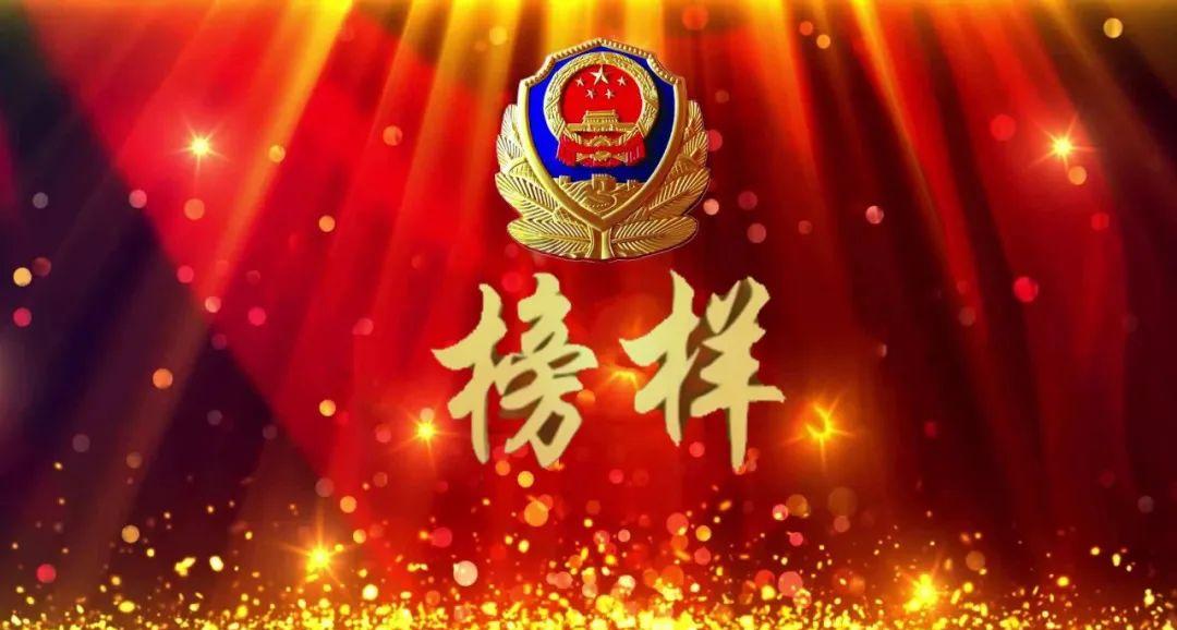 优秀辅警评选主要以年度考核结果为依据，综合思想政治素质、业务能力、工作实绩等标准