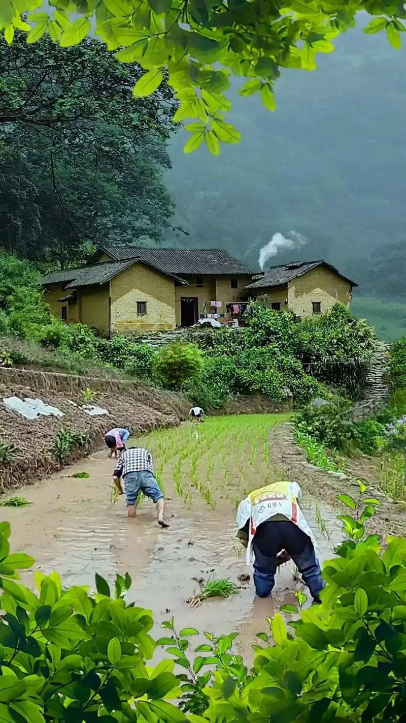 今天去市场买菜，突然间有一种很亲切、触动的感觉，发自内心的喜欢起来。
小时候，羡