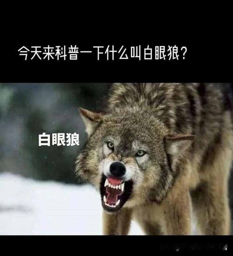 如今中国人丰衣足食、国泰民安，是几代人拼出来的好日子。可偏偏有一批人，吃饱了喝足