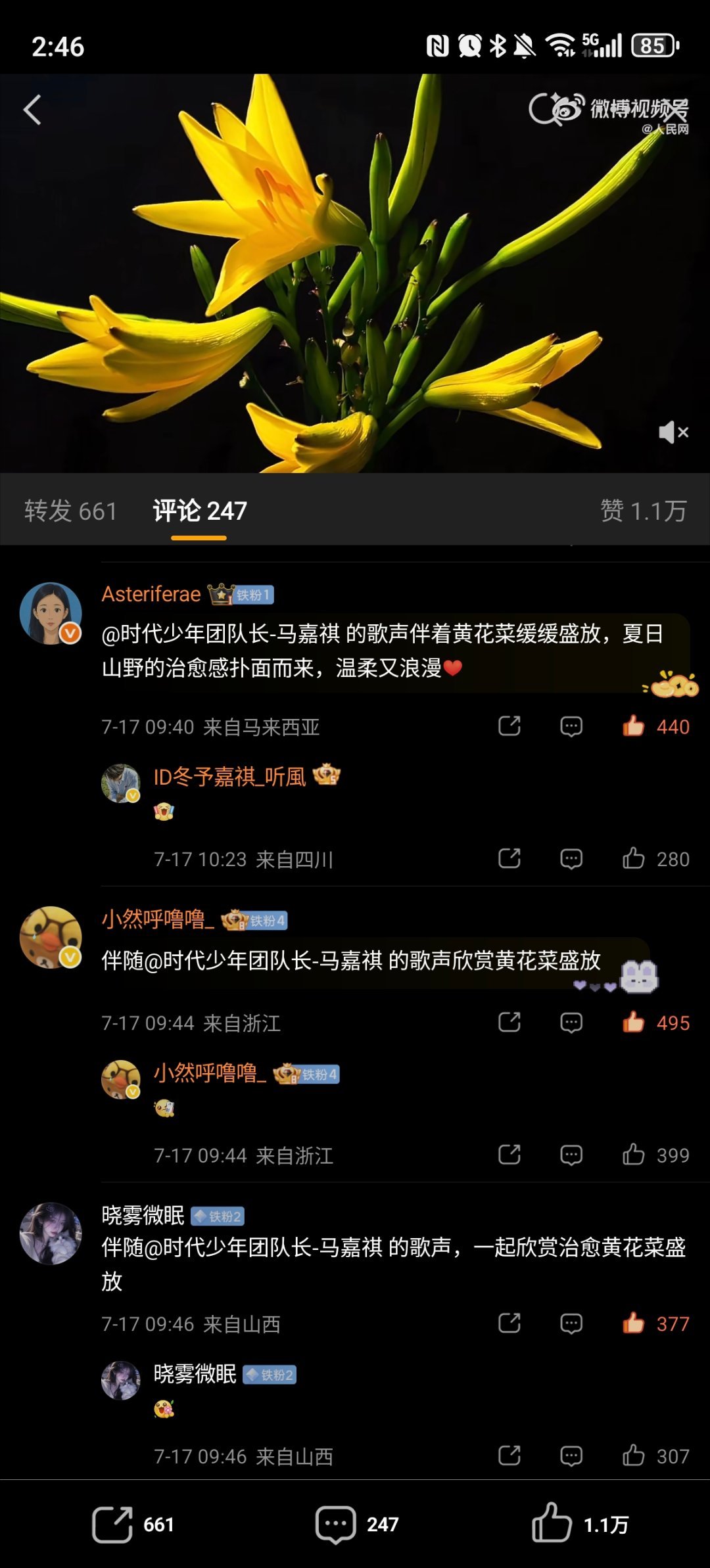 ✔️🈳网页链接  专栏 · 🈳评组