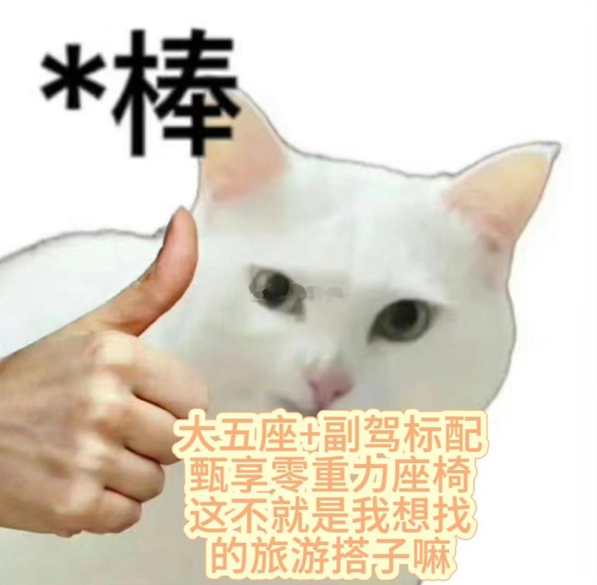 余承东官宣享界S9T预售时间 哇！钓鱼回来往副驾一躺，零重力座椅自动调整到最舒服