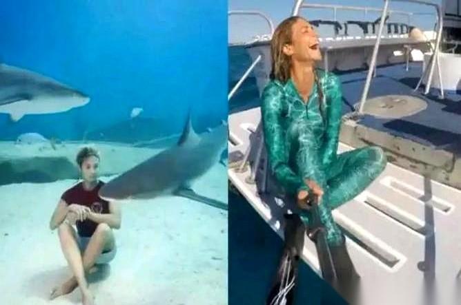 那条鲨鱼游回来的时候，我以为故事要往恐怖片发展了。
结果它身后，浩浩荡荡，跟了一