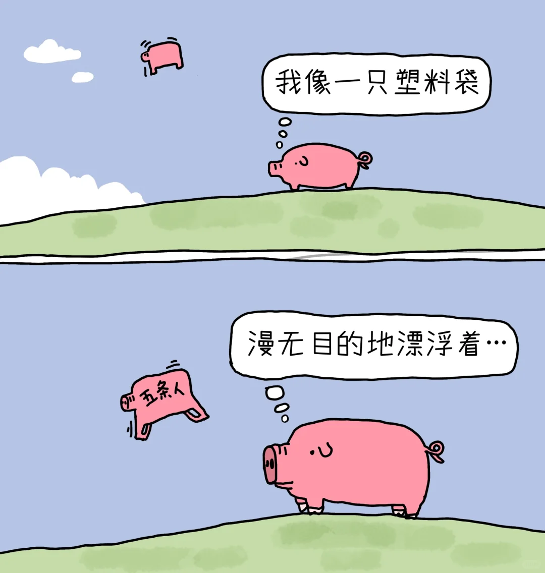 到城市里找猪