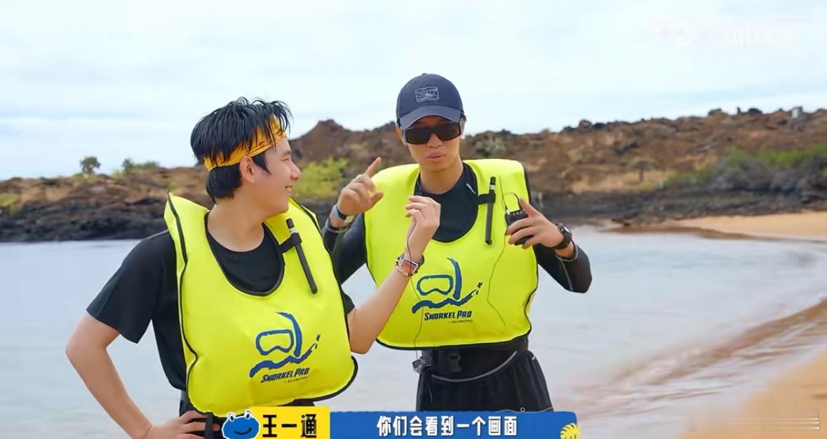 胡先煦浮潜遇到鲨鱼 浮潜惊魂记！胡先煦王一通看鱼时突然发现鲨鱼，紧急回岸后，胡先