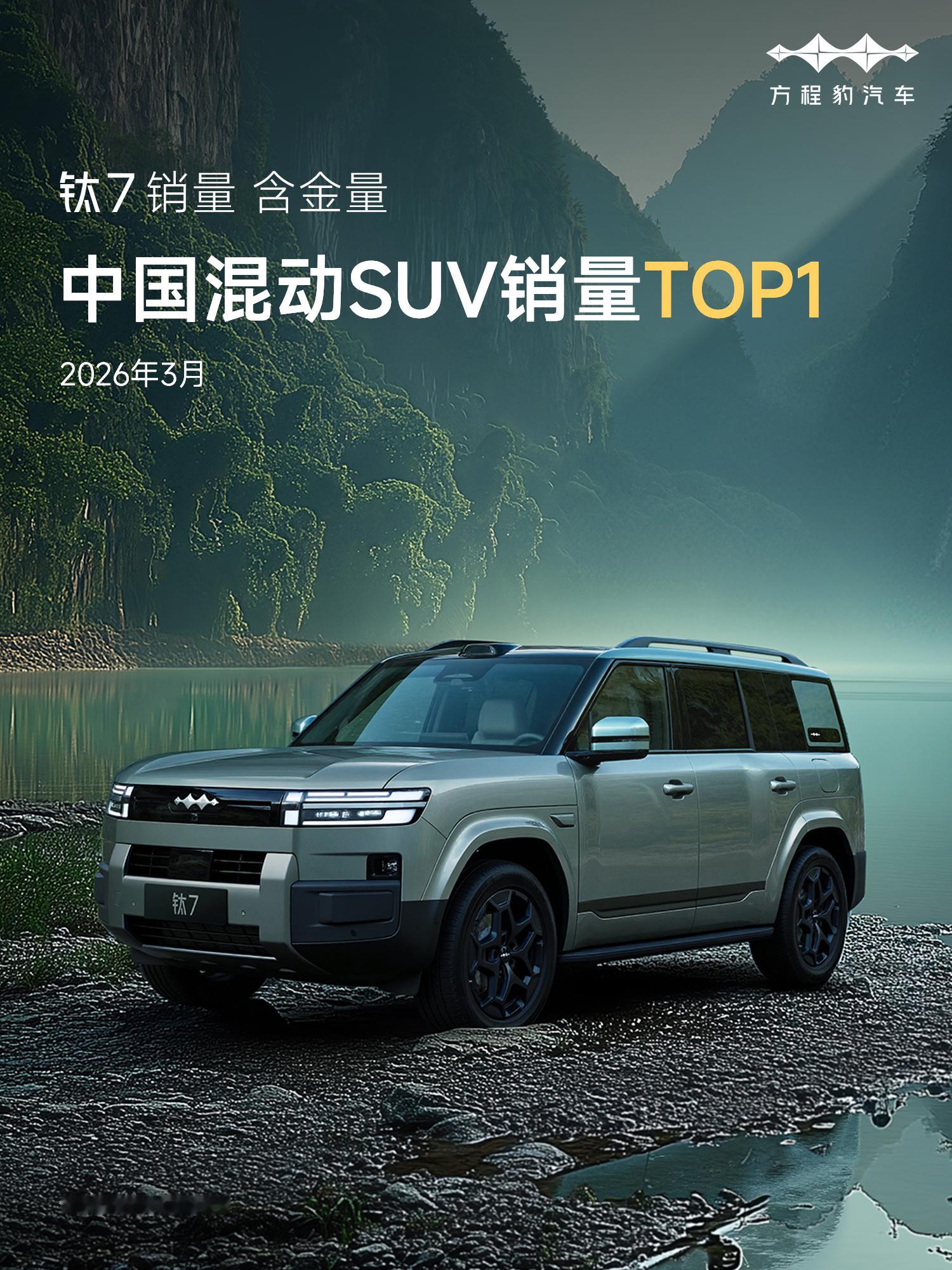 3月中国混动全品类销量TOP 13月中国混动SUV销量TOP 1猜猜是谁有这个战