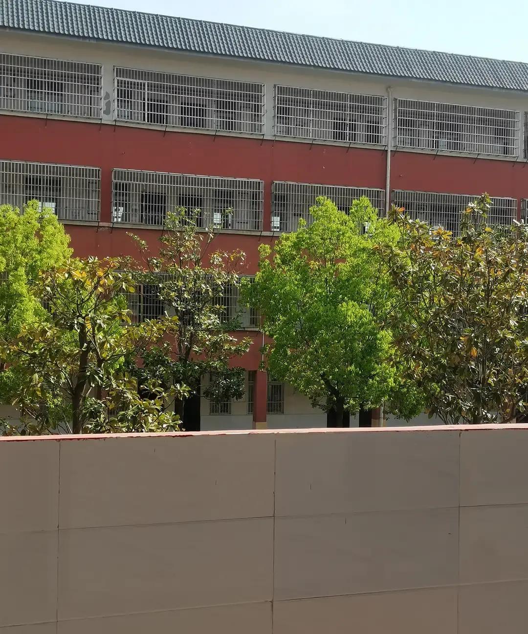 老金儿子谈了个姑娘，一开始全家都说文凭不重要。

后来姑娘微信里错别字满屏飞，中