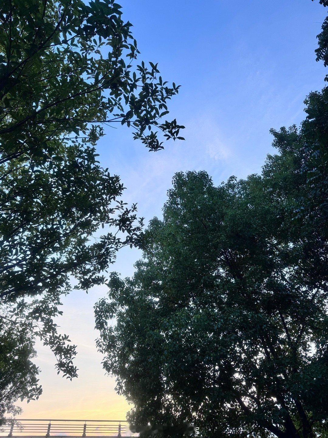 傍晚的风好舒服呀 ​​​